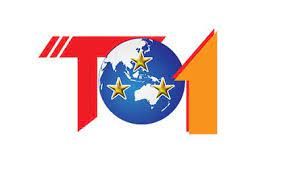 Sales Executive Megavision