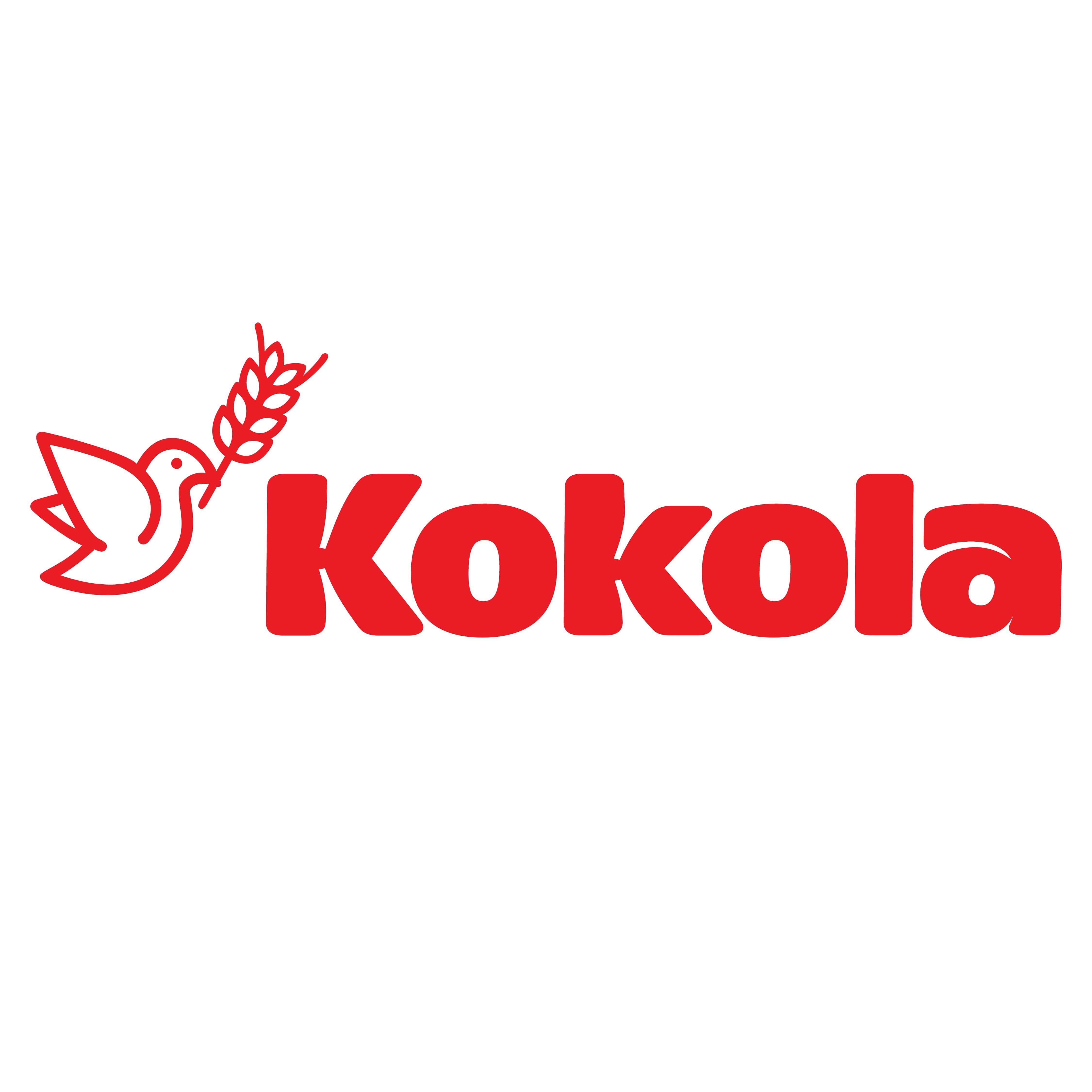 Pt. Mega Global Food Industry (kokola Group)