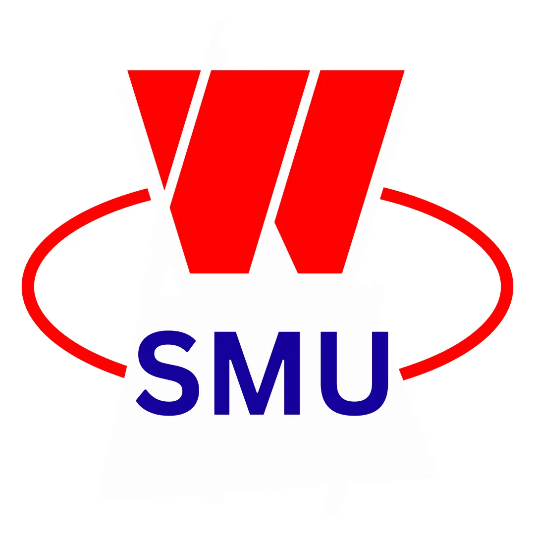 QMR (Quality Management Representative) – ISO System & Document