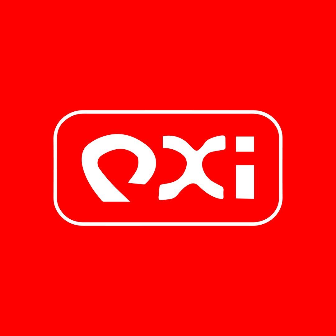 PT Qiao Xing Industry