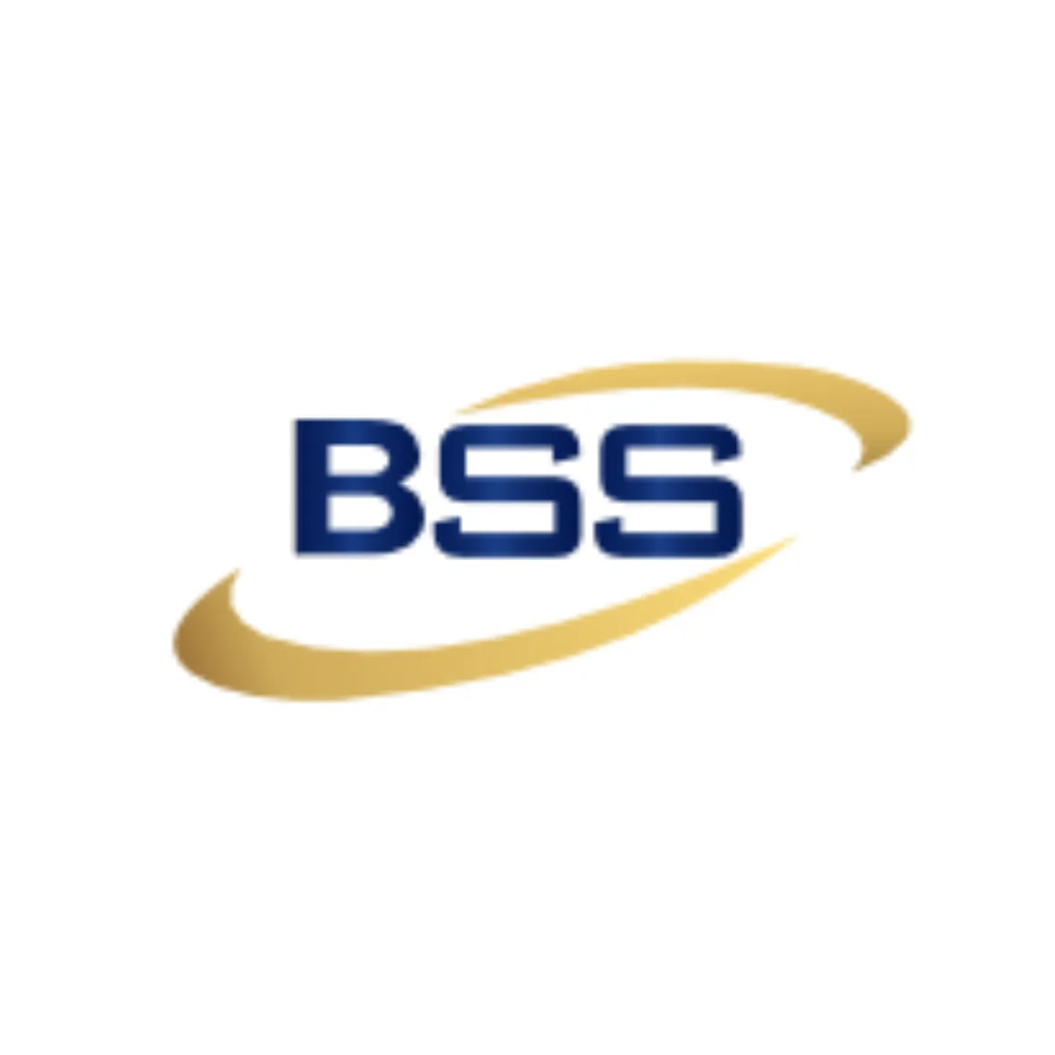 Sales Canvaser